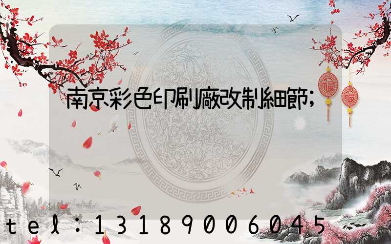 南京彩色印刷廠改制細節
